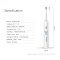 Rotary automatic rechargeable electric toothbrush